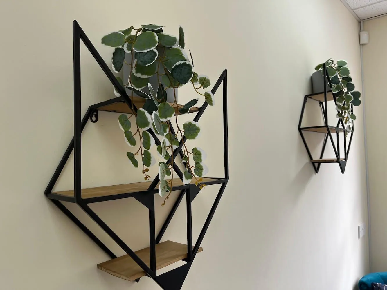 Pot plants on a an abstract, deco shelving unit
